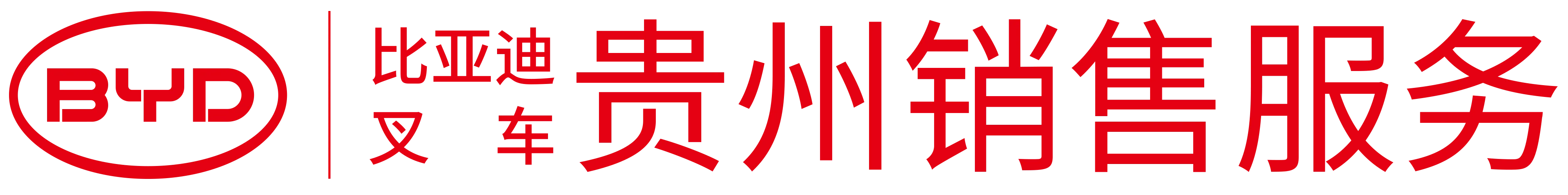 贵州比亚迪叉车